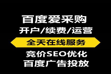 百度竞价排名服务的广告投放技巧与策略