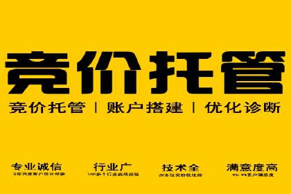 成功案例：SEM竞价代运营助力企业拓展市场份额